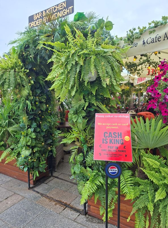 Mit üppigen Farnen und Pflanzen dekorierter Außenbereich eines Gastronomiebetriebs mit einem Schild mit der Aufschrift „Cash is King“.