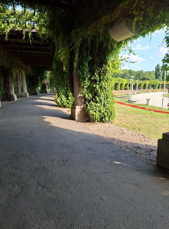 Begrünter, efeubewachsener Säulengang der historischen Pergola nahe der Jahrhunderthalle in Breslau.