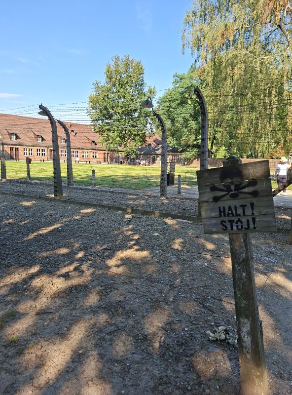 Historisches Warnschild mit Totenkopf und der Aufschrift „HALT! STÓJ!“ am Stacheldrahtzaun des Stammlagers Auschwitz.